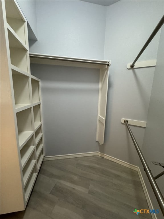 walk in closet featuring dark wood finished floors