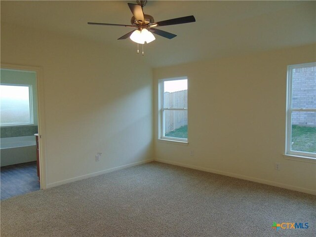 3204 Salt Fork Dr, Killeen, TX 76549 - empty room with healthy amount of natural light, carpet flooring, baseboards, and ceiling fan