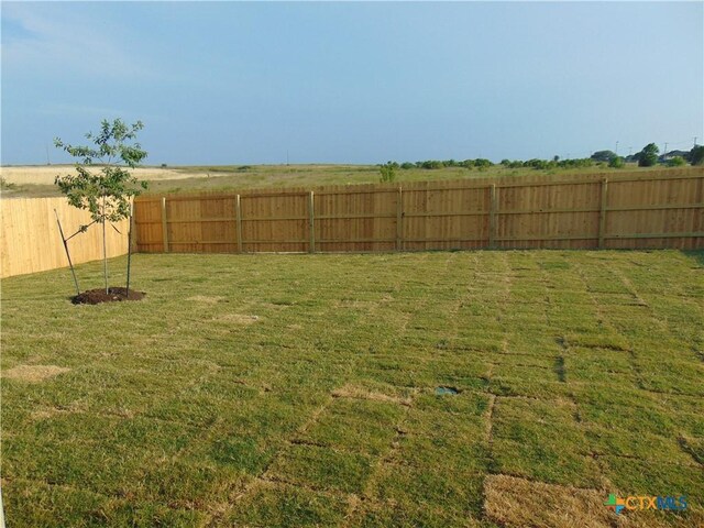 3204 Salt Fork Dr, Killeen, TX 76549 - view of yard