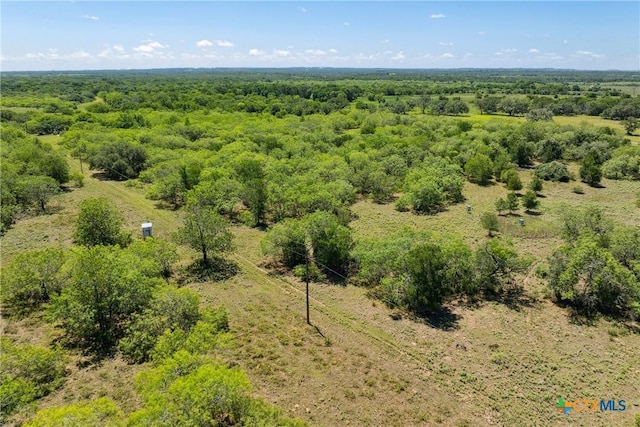 TBD County Road 408, Waelder, TX 78959