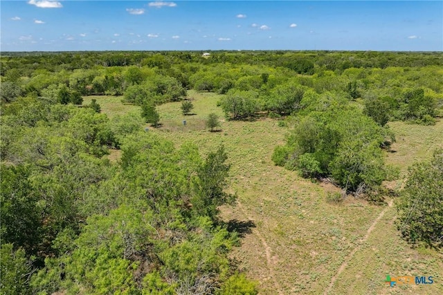 TBD County Road 408, Waelder, TX 78959