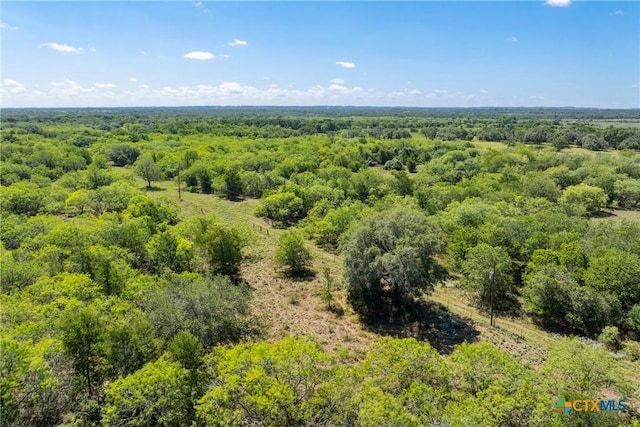 TBD County Road 408, Waelder, TX 78959