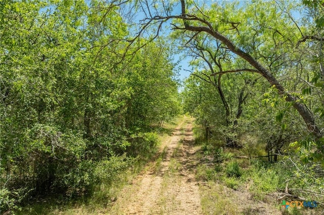 TBD County Road 408, Waelder, TX 78959
