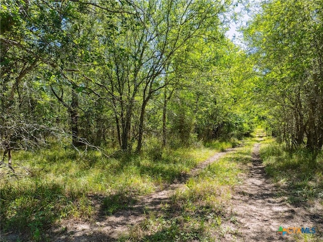 TBD County Road 408, Waelder, TX 78959