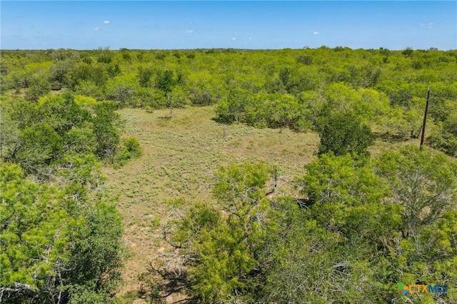 TBD County Road 408, Waelder, TX 78959
