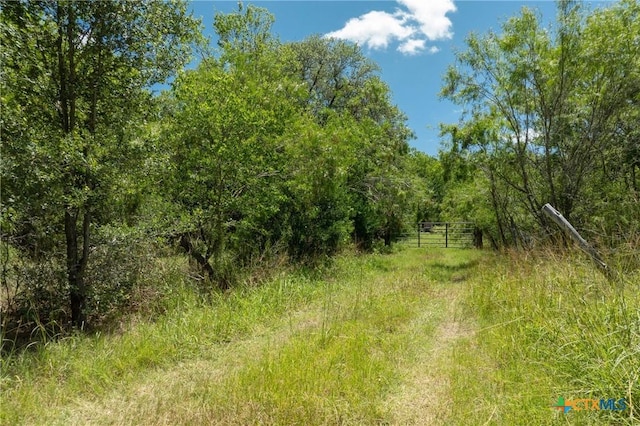 TBD County Road 408, Waelder, TX 78959