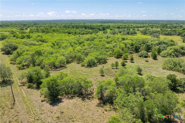 TBD County Road 408, Waelder, TX 78959