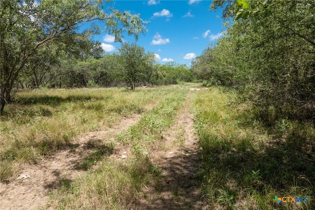 TBD County Road 408, Waelder, TX 78959