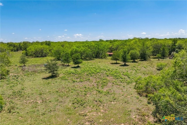 TBD County Road 408, Waelder, TX 78959