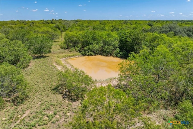 TBD County Road 408, Waelder, TX 78959