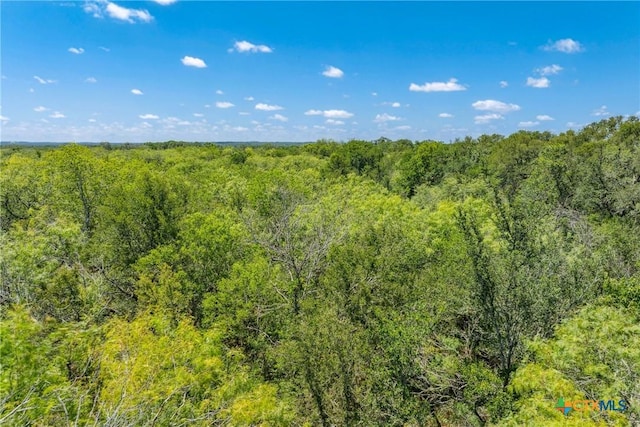 TBD County Road 408, Waelder, TX 78959