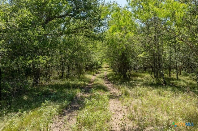 TBD County Road 408, Waelder, TX 78959