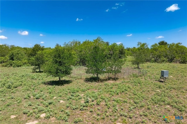 TBD County Road 408, Waelder, TX 78959