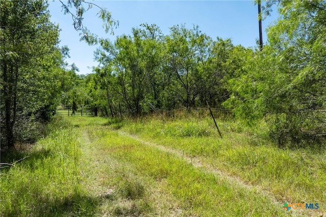 TBD County Road 408, Waelder, TX 78959