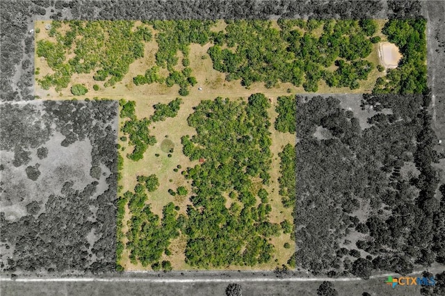 TBD County Road 408, Waelder, TX 78959