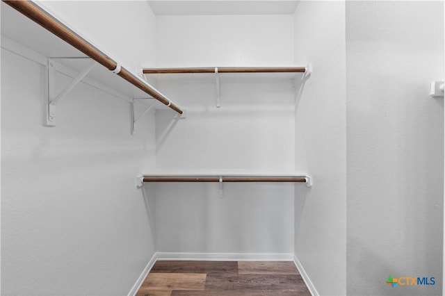 spacious closet featuring wood finished floors