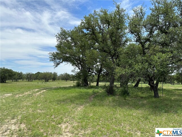 Listing photo 3 for TRACT58C-6 Bryce Trl, Briggs TX 78608