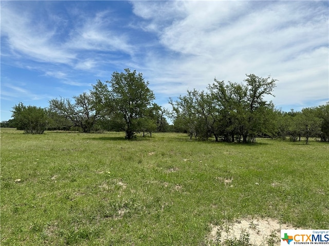 TRACT58C-6 Bryce Trl, Briggs TX, 78608 land for sale