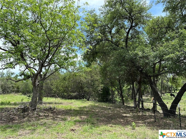 Listing photo 2 for TRACT58C-6 Bryce Trl, Briggs TX 78608