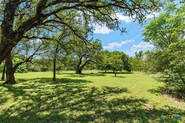 13650 Blackberry Rd, Salado, TX 76571 - view of green lawn