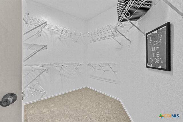 2305 Arnie Ln, Round Rock, TX 78664 - spacious closet featuring carpet