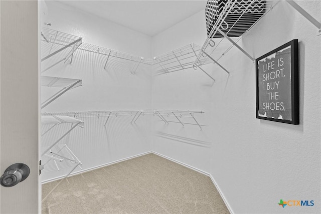 walk in closet featuring carpet