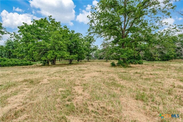 10767 Rosemar Ln, Adkins, TX 78101 - view of local wilderness