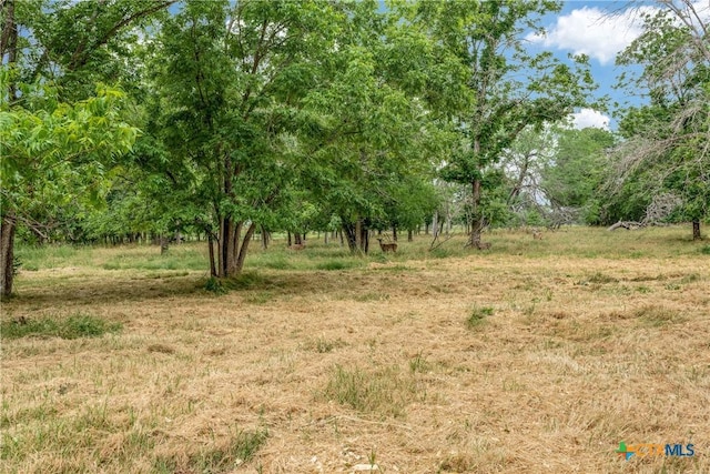 10767 Rosemar Ln, Adkins, TX 78101 - view of nature