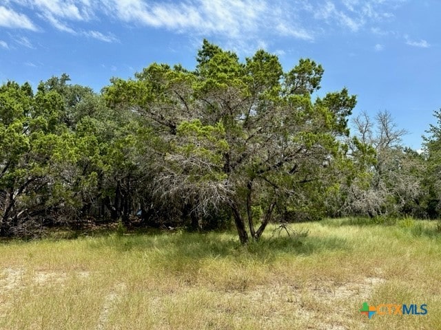 Listing photo 2 for 118 Water Oak Ln, Canyon Lake TX 78133