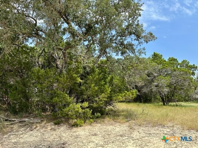 Listing photo 3 for 118 Water Oak Ln, Canyon Lake TX 78133