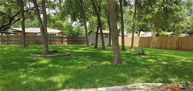130 Twin Oak Rd, Seguin, TX 78155 - view of yard
