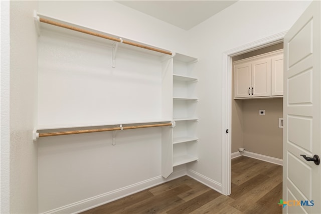 spacious closet with dark hardwood / wood-style floors