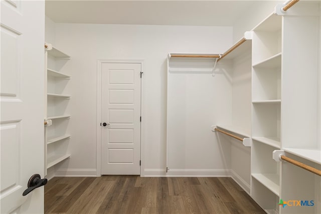 walk in closet with dark wood-type flooring