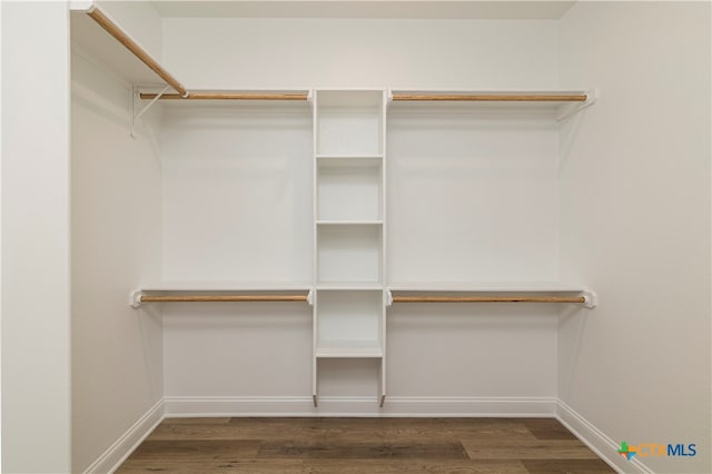 walk in closet featuring dark hardwood / wood-style floors