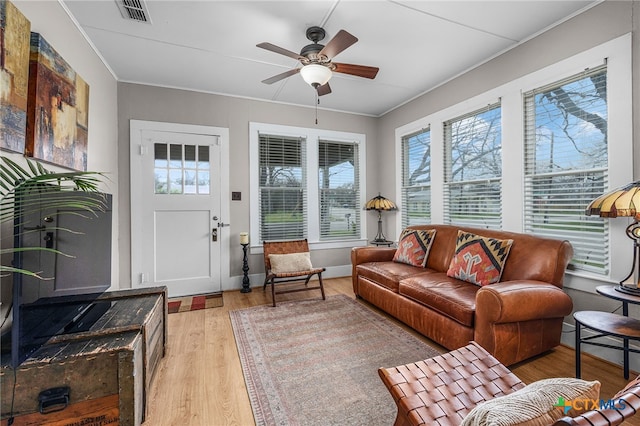 209 S Live Oak Ave, New Braunfels, TX 78130 - photo 5
