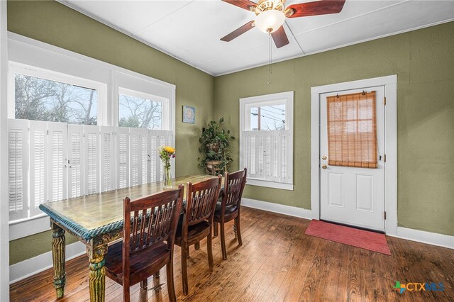 209 S Live Oak Ave, New Braunfels, TX 78130 - photo 20
