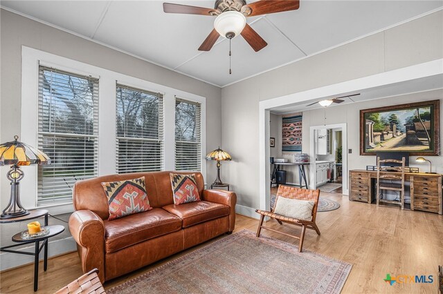 209 S Live Oak Ave, New Braunfels, TX 78130 - photo 6