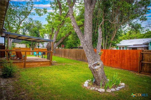 209 S Live Oak Ave, New Braunfels, TX 78130 - photo 47