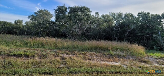 B4, LOT15 Bayside Dr, Seadrift, TX 77983 - photo 9