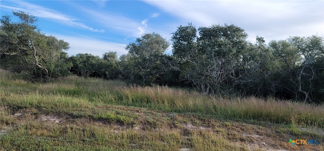 B4, LOT15 Bayside Dr, Seadrift, TX 77983 - photo 6