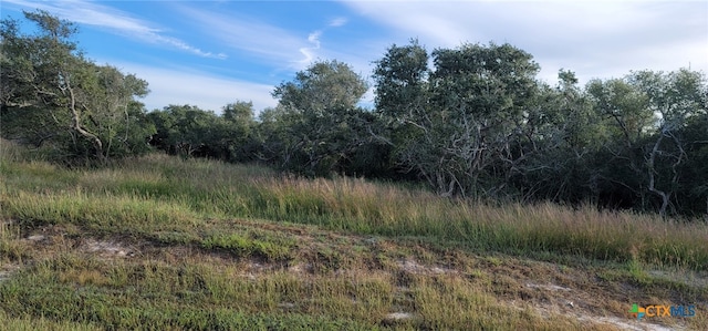 B4, LOT15 Bayside Dr, Seadrift, TX 77983 - photo 7
