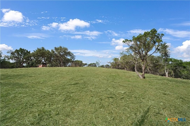 1981 Skyline Dr, Canyon Lake, TX 78133 - photo 23