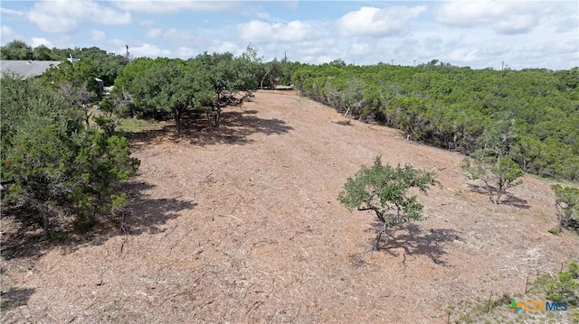 1981 Skyline Dr, Canyon Lake, TX 78133 - photo 17