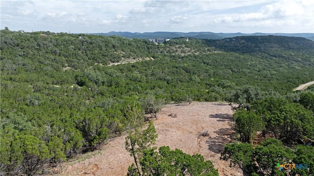 1981 Skyline Dr, Canyon Lake, TX 78133 - photo 7