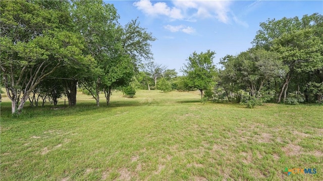 119 Stageline Dr, Kyle, TX 78640 - view of grassy yard