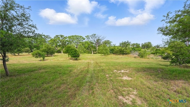 119 Stageline Dr, Kyle, TX 78640 - view of yard