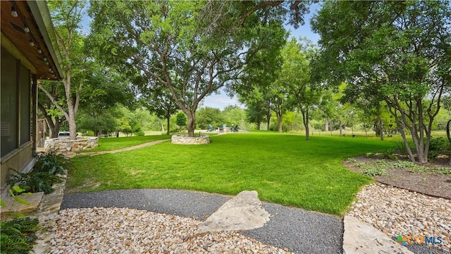 119 Stageline Dr, Kyle, TX 78640 - view of green lawn