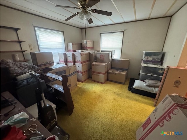 1101 Anna Lee Dr, Killeen, TX 76549 - photo 12