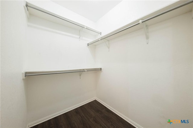 3907 Llano Estacado Ct, Killeen, TX 76549 - spacious closet with dark wood-style flooring