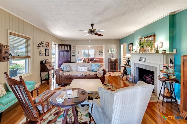 living area with a ceiling fan, wood finished floors, a fireplace, and ornamental molding